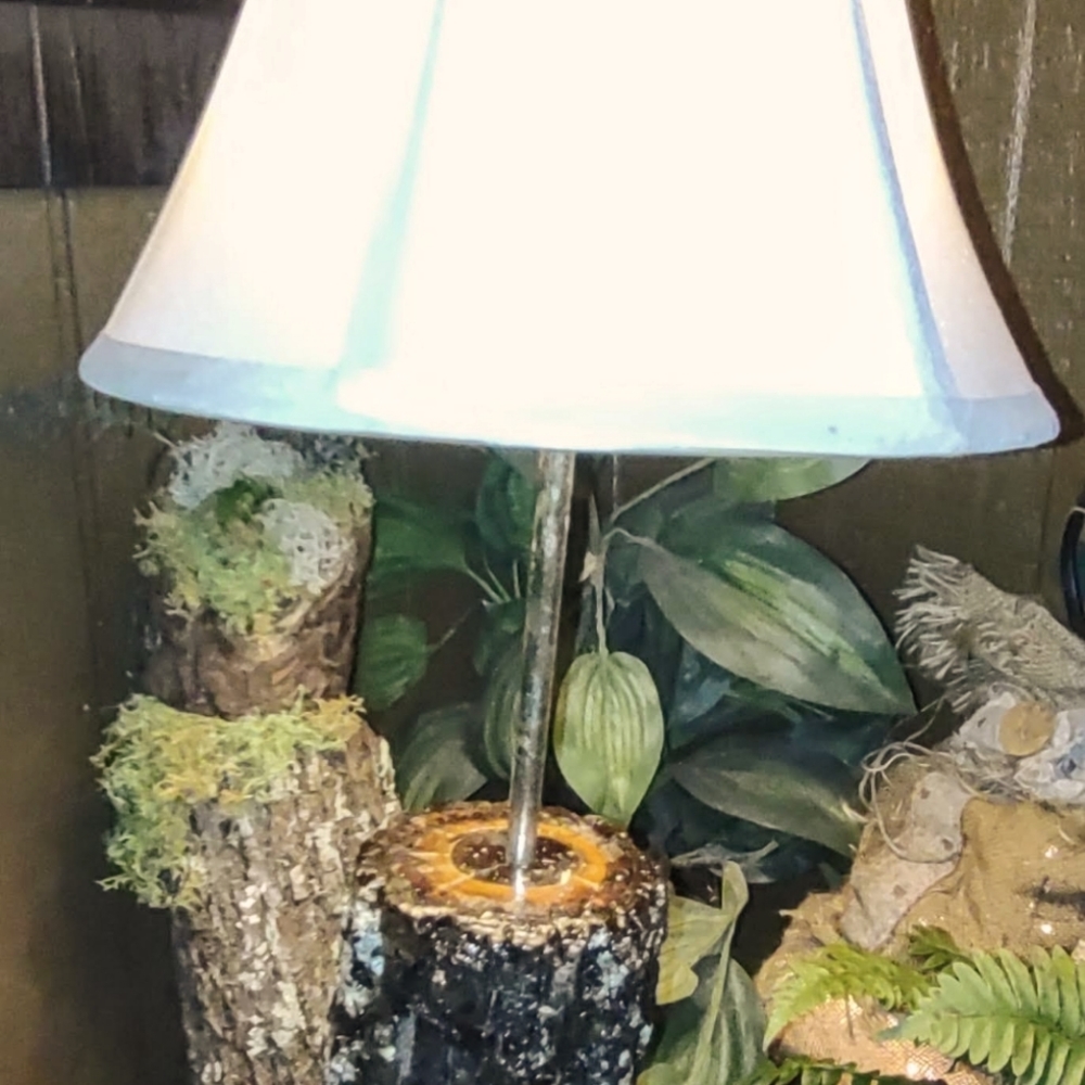 Handmade Black Walnut stump lamp